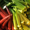 【赤＆ヘルシエmix】オクラ3種セット 計57~77本程 ≪さぬき讃ベジタブル≫