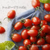 子供大好き！シュガープラム2kg糖度10度以上の極甘ミニトマト(300004)