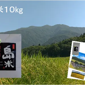 新米R4年産 特別栽培米 幻のコシヒカリ最上流の上級米 10k白米