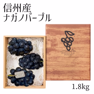 パープル約１.8kg 極甘！ずっしり大房ナガノパープル３〜４房