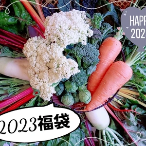 【2023福袋】農家のお任せ冬の7種の野菜セット　〜1つおまけします〜　