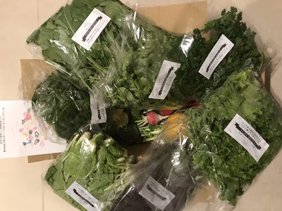 みんなの投稿の画像