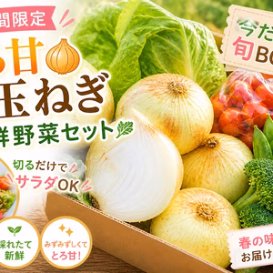 【期間限定】とろ甘新玉ねぎ＋新鮮野菜セット☆切るだけサラダOK｜今だけの旬BOX