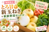 【期間限定】とろ甘新玉ねぎ＋新鮮野菜セット☆切るだけサラダOK｜今だけの旬BOX