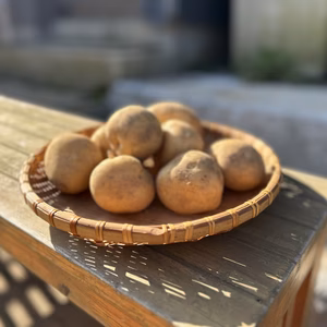 《北海道生まれ♩》きたかむいL.2Lサイズ10kg