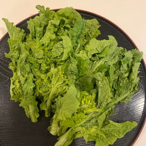 春香る！旬を楽しむ♥ふんわ～り菜花5袋