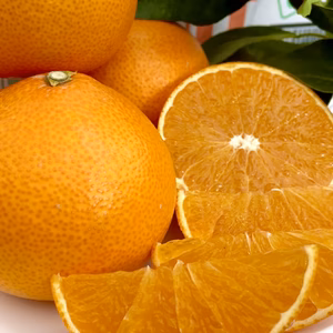 「段畑まどんな」4キロ×2箱　ご家庭用