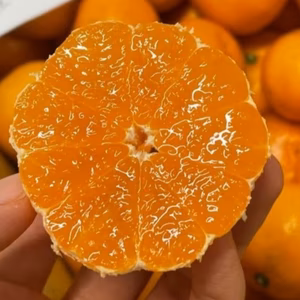 有田みかん『超 訳あり』5kg【傷み保証込】（箱込)