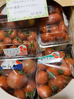 みんなの投稿の画像