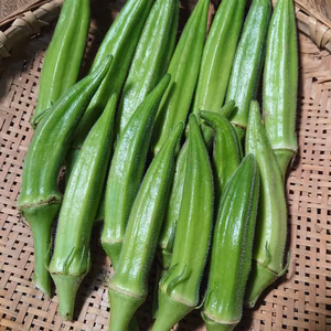 ♪送料800円♪定番夏野菜（オクラ、ナス）【農薬不使用】      