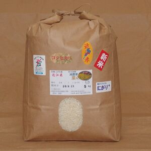 令和2年産☆近江米コシヒカリ☆減農薬菜の花米☆5kg☆白米