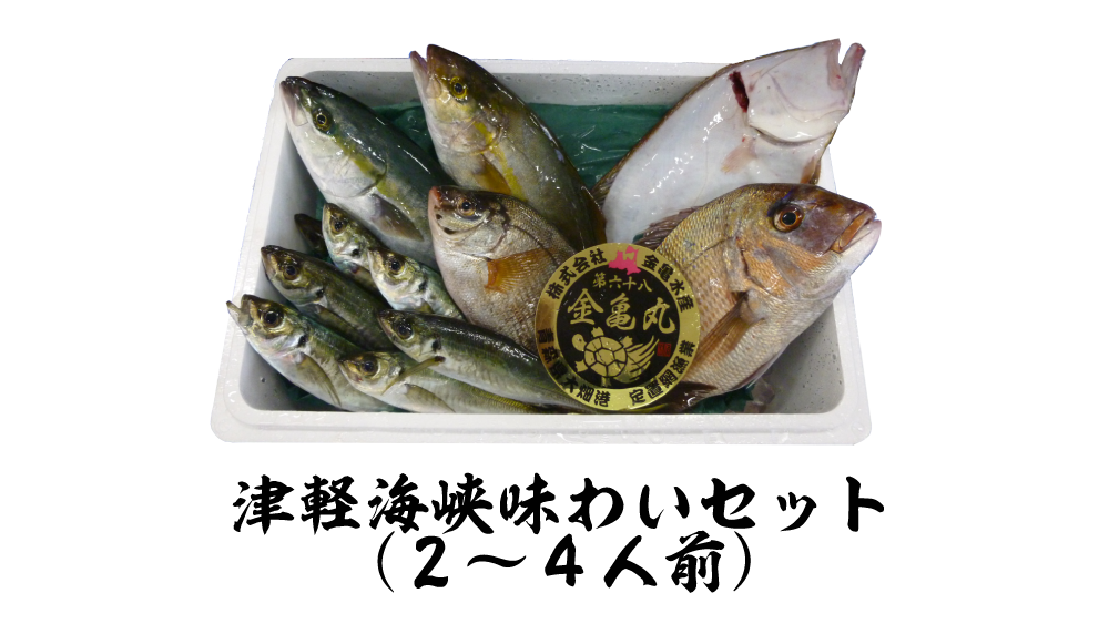 海外輸入 朝獲れ鮮魚 詰め合わせ 2kg fucoa.cl