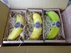 皮まで食べても安心・安全「国産・農薬不使用」バナナ12本セット（宮崎県川南町産）