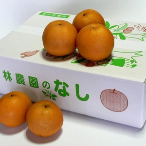幸水(家庭用）　約5kg(12〜16玉)　8月8日～出荷　＋グラノーラ