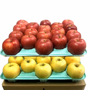 スイート＆ゴールド セット約9Kg【シナノ兄弟】家庭用 青森県産