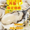 鍛え牡蠣 再販！旬です 今食べたい  広島牡蠣老舗の味!