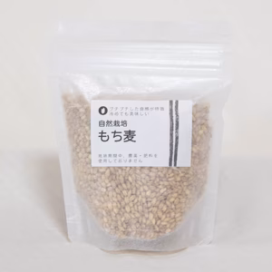 自然栽培　もち麦