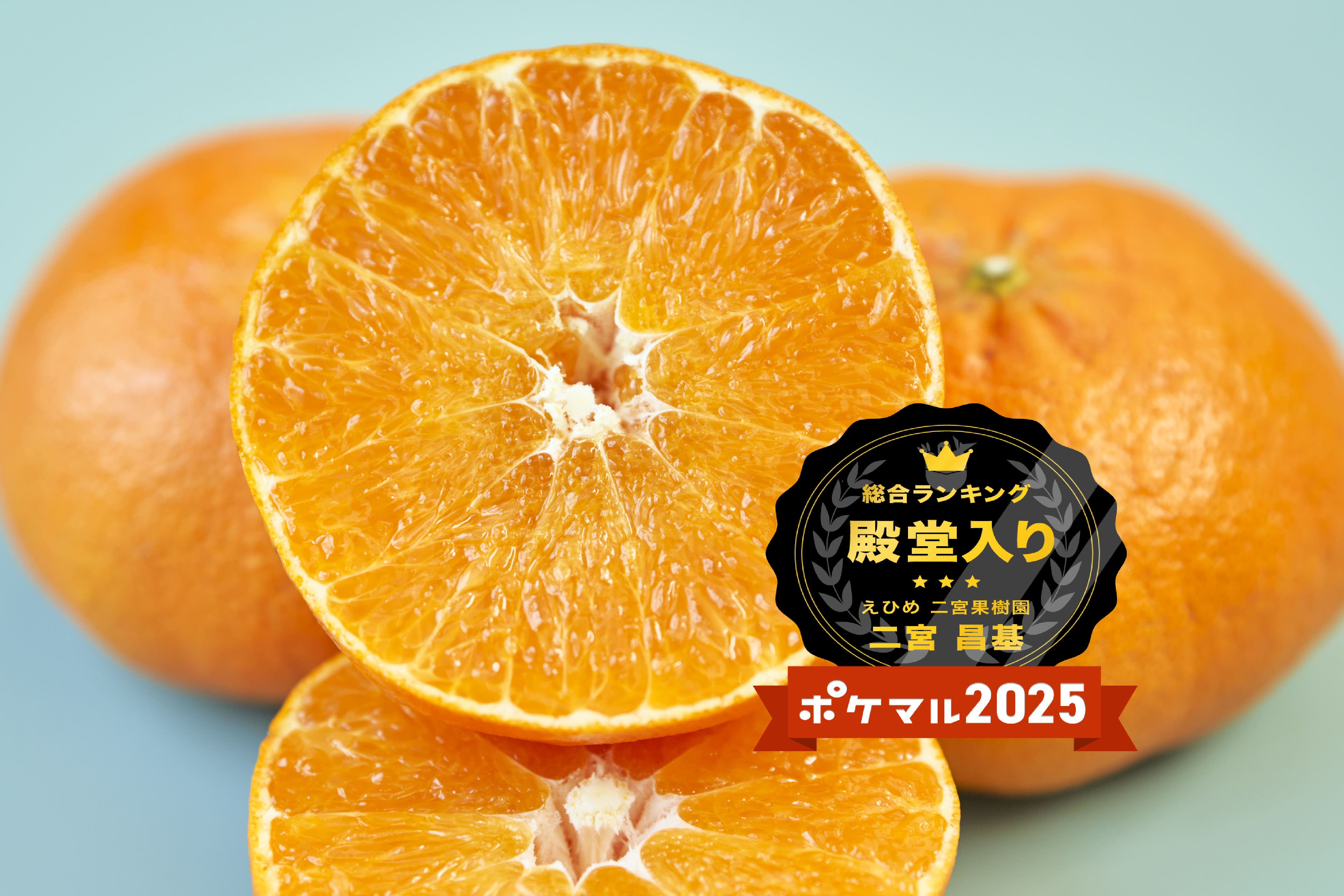 甘平 発送早い 弾ける食感 3年ぶりの美味しさ ｜不知火・タンゴール類