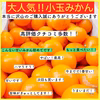 減農薬　小玉みかん　有田みかん　2s3sサイズ　産地直送　訳あり