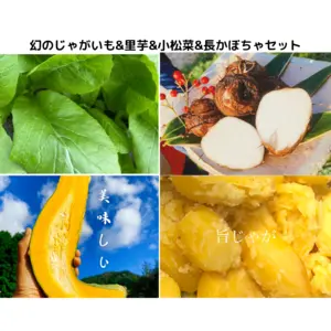 野菜セット"農家の中でも『幻』のじゃがいもと里芋、長かぼちゃと小松菜セット！