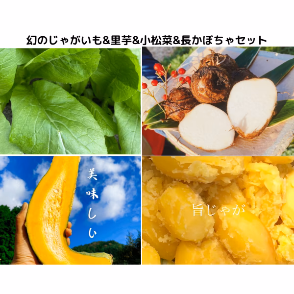 野菜セット"農家の中でも『幻』のじゃがいもと里芋、長かぼちゃと小松菜セット！