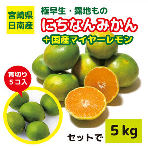 宮崎県産「にちなんみかん」と「青切りレモン５個」セット(5kg)