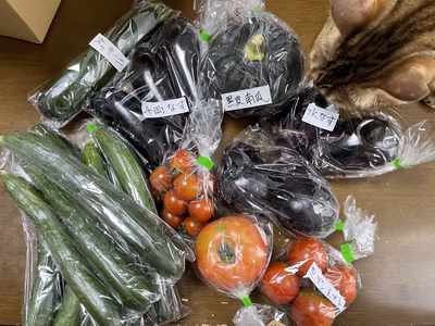 みんなの投稿の画像