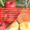 サンふじ 加工用 約5kg 12-25玉 12月発送 #YAF0K050