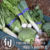 120サイズ【江戸時代から続く伝統農業】松本農園から直送☆旬の野菜詰め合せ