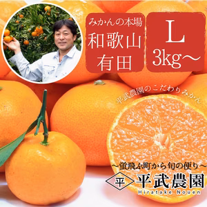 有田みかん｜Ｌ3Kg～　~蛍飛ぶ町から旬の便り~　平武農園