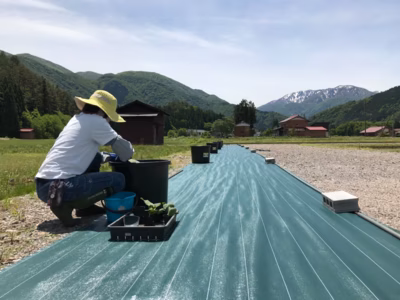 みんなの投稿の画像