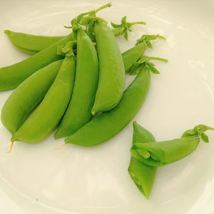 【期間限定】初夏の味！みずみずしいスナップエンドウ（1kg）