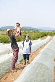 お日さまと大地の力で育った 農家お任せ旬の野菜セット 選べる２種類 農家漁師から産地直送の通販 ポケットマルシェ