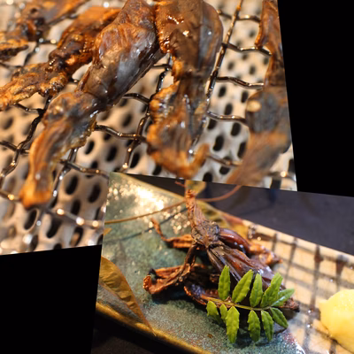 みんなの投稿の画像