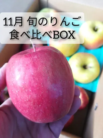 【ご好評につき第3弾！】11月旬のりんご食べ比べBOX♪