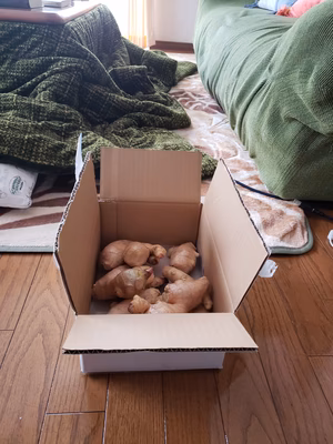 みんなの投稿の画像