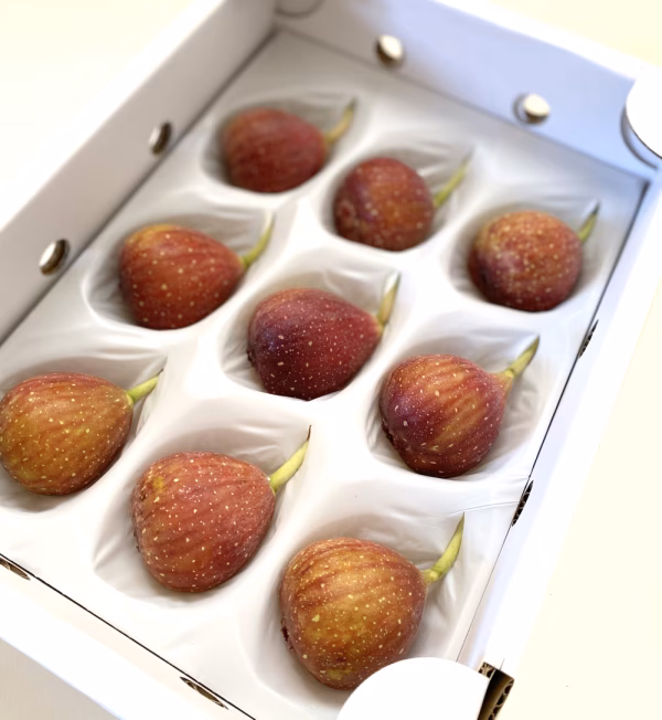 福岡県ブランドいちじく「とよみつひめ」（ゆりかご便でお届けします！）