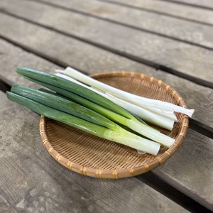《訳あり》フードロス☆長ネギ(サイズ混合)