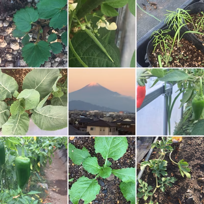 みんなの投稿の画像