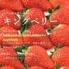 いちご農家のおすすめ旬いちごプレミアムパック3L×2パック