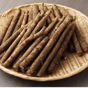 香り高い鹿児島県産新ごぼう土付き３キロ【訳ありごぼう】