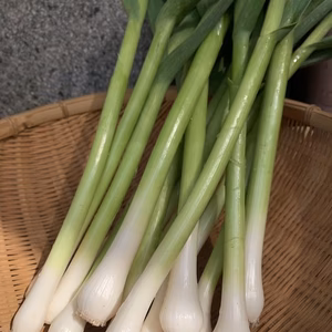 春旬野菜　レシピ付き　まるごと葉付きベビーにんにく＜農薬・化学肥料不使用＞