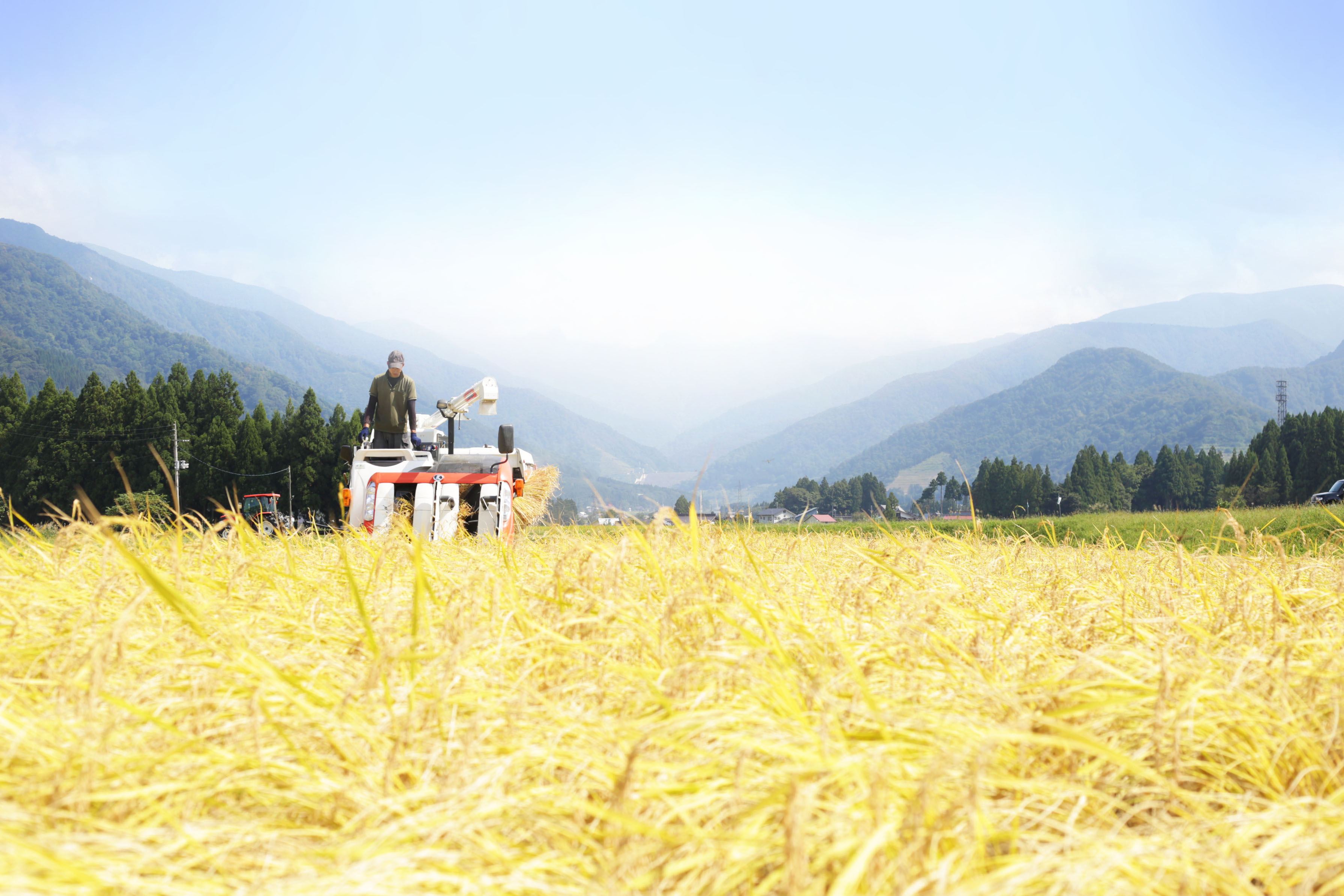 R7年産【最高金賞受賞！】もっちり甘い！南魚沼産コシヒカリ ひらくの