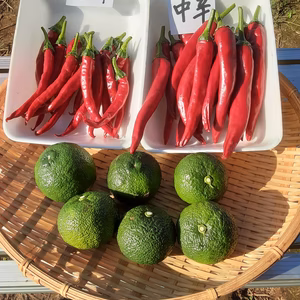 赤い柚子胡椒手作りセット(レシピ付き)★訳あり品　おまけ付き❕