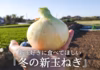 日本で一番早い！新玉好きに食べてほしい『冬の新玉ねぎ』