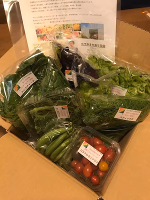 みんなの投稿の画像