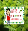 淡路島のおまかせ野菜セット5キロ箱(クール便)