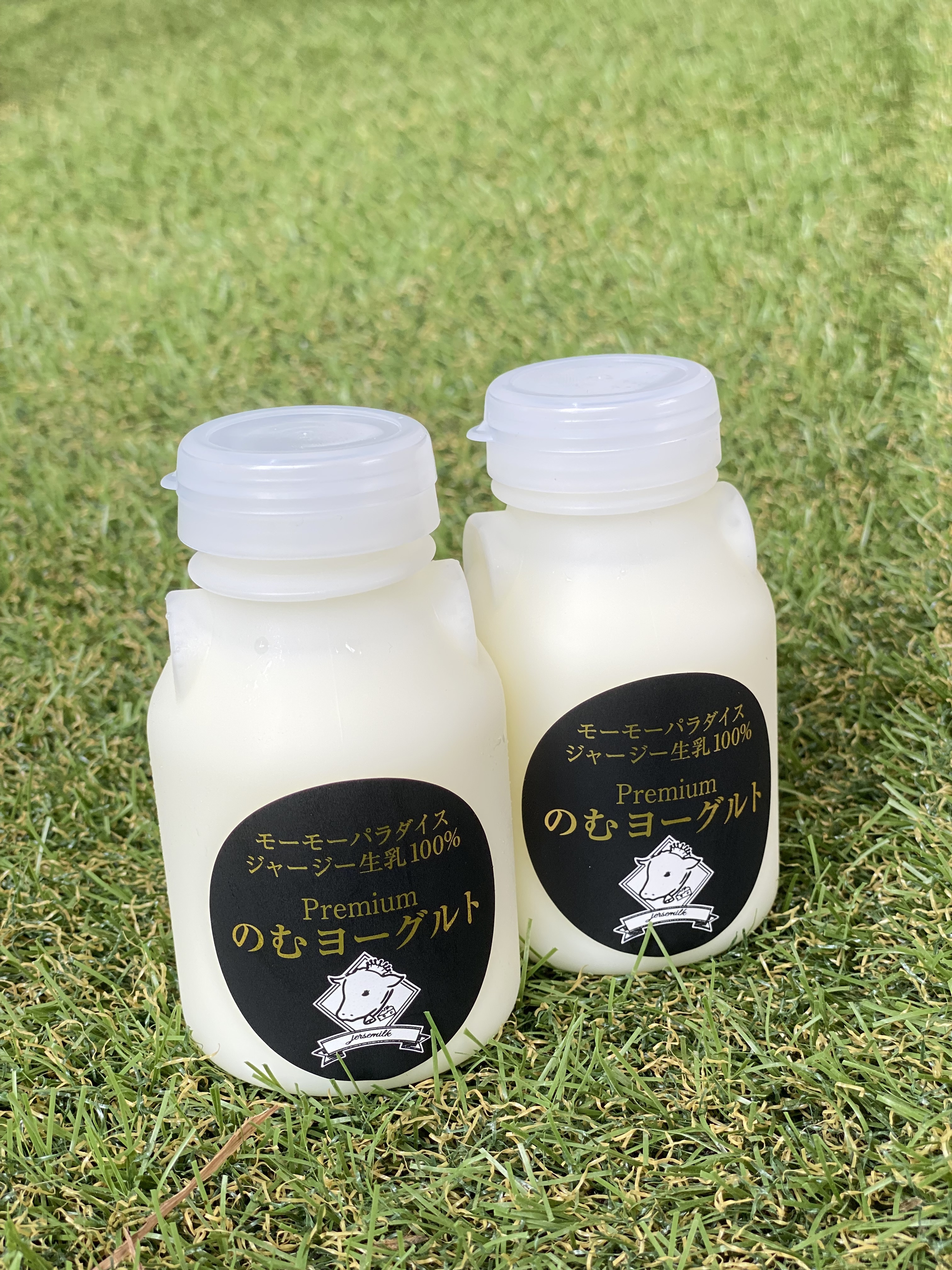 飲むヨーグルト様　オーダー品 倉繁さんちの朝搾り”飲む”ヨーグルト：900ml（無糖） – 牧場