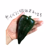 メキシコの大きな唐辛子！アンチョポブラノ