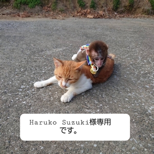 Haruko Suzuki様専用です。